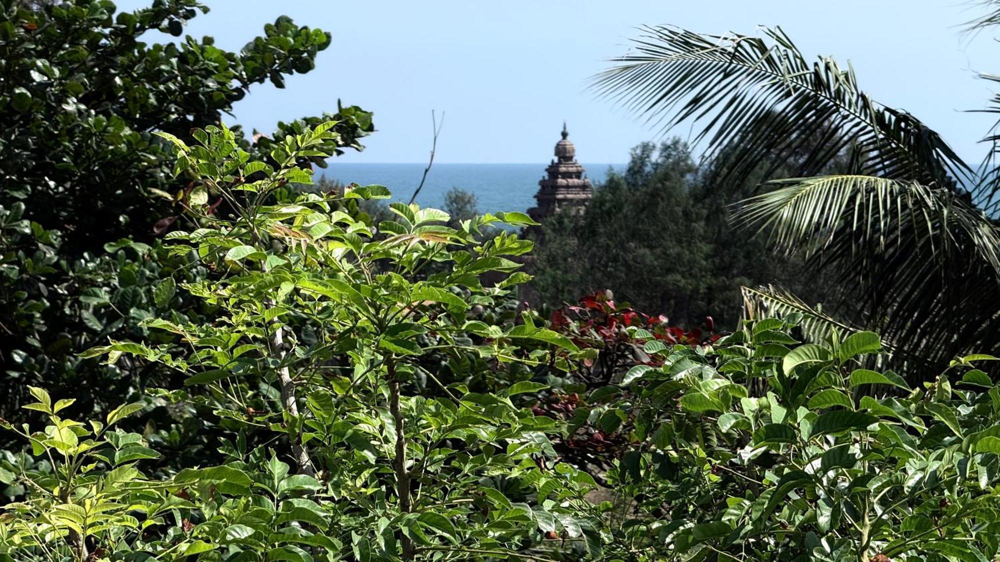 Sri Murugan Beach Paradise Hotel Mamallapuram Eksteriør billede